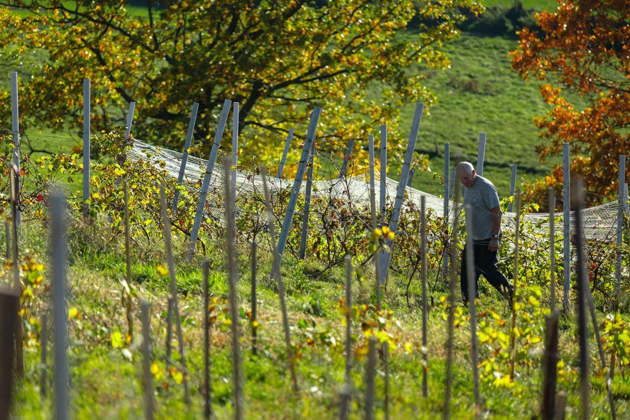 Winnica Agat Świerzawa Exterior foto