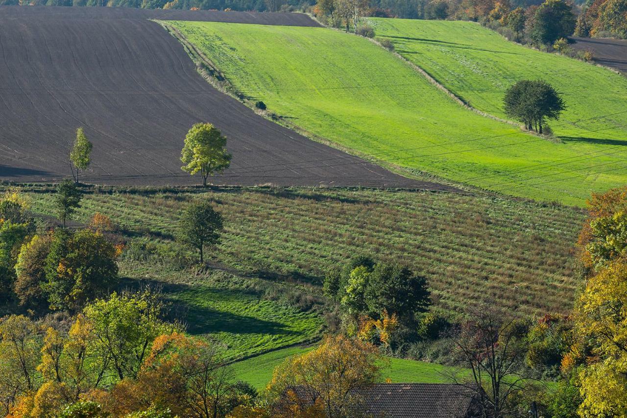 Winnica Agat Świerzawa Exterior foto